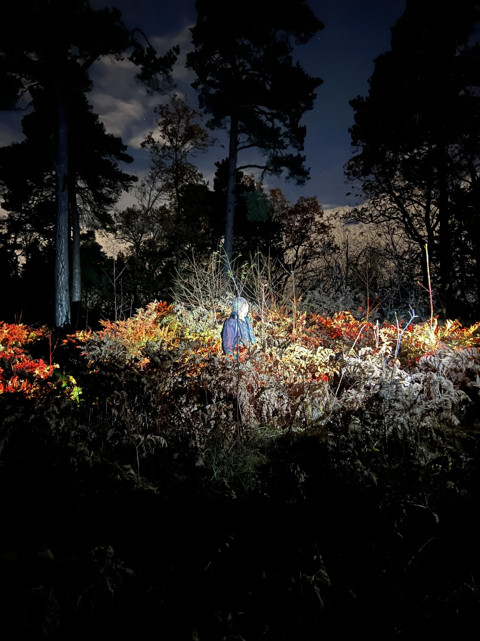 NON ENIM IPSA SHOEGAZE ROCK